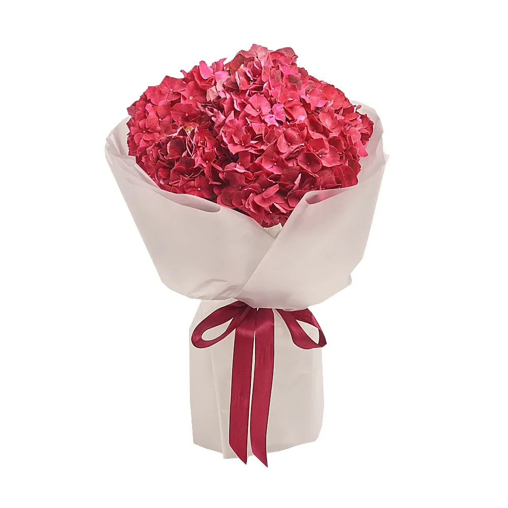 Моно букет из 7 красных гортензий